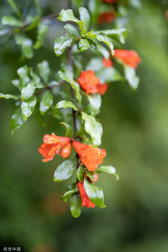 008PG国际(中国区)-官方网站