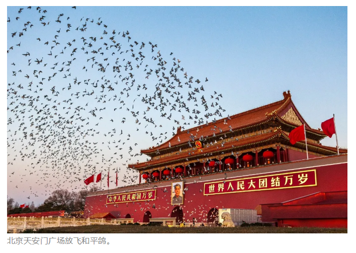 008PG国际(中国区)-官方网站